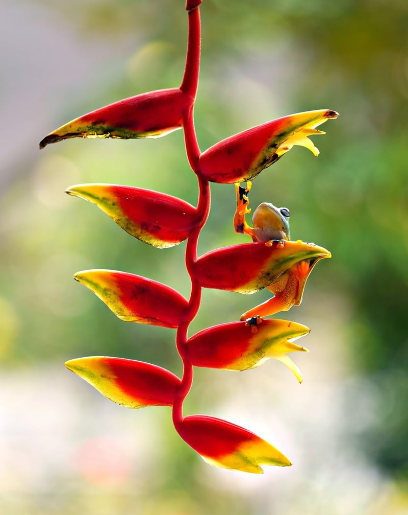 Nature-inspired floral design